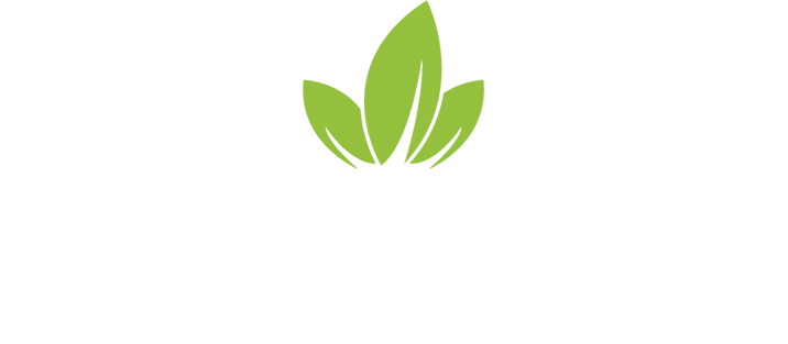 Vectur Energy